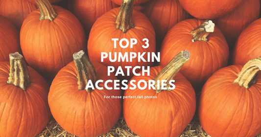 Picture Perfect Pumpkin Patch Accessories